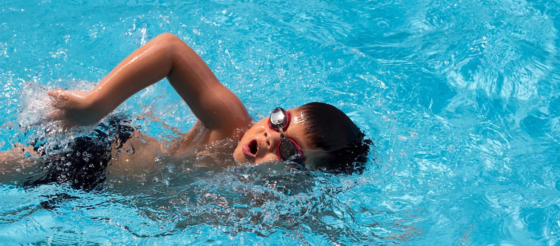 Swim School Returns to Lambton cover